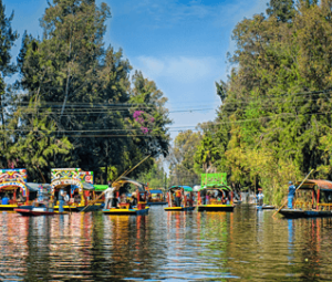 Lago Xochimilco
México